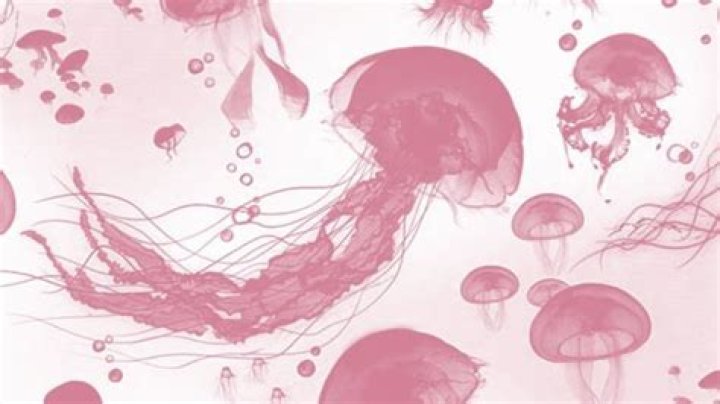 50 Games Like Jellyfish for Mac OS