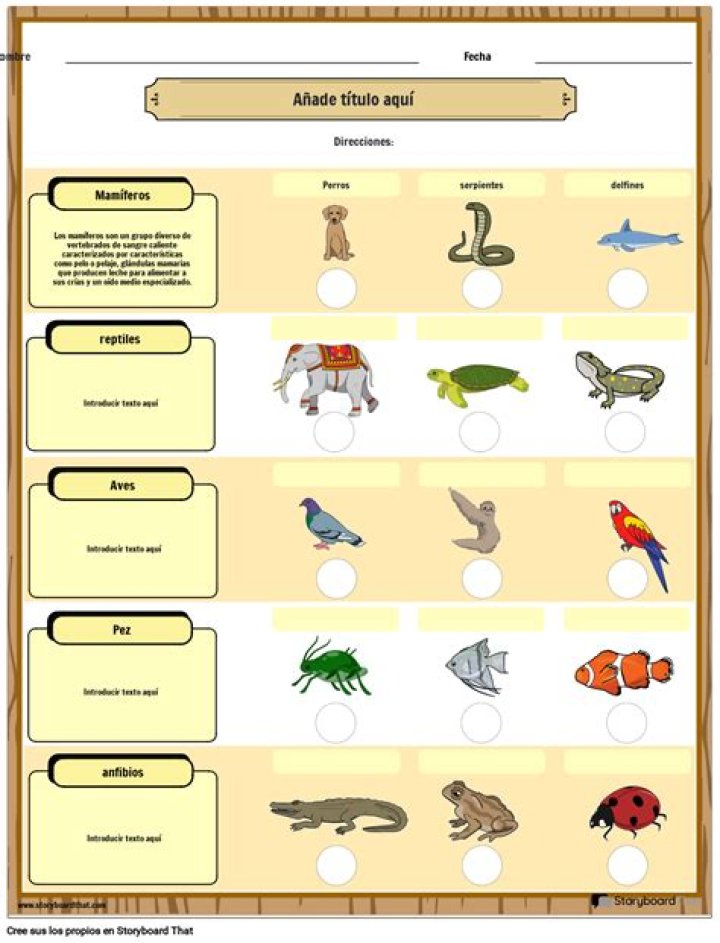 ACORDUL (gramatical, după înțeles, prin atracție) Quiz