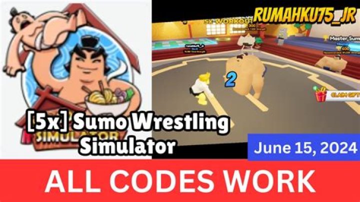 All Sumo Wrestling Simulator Codes For January 2024