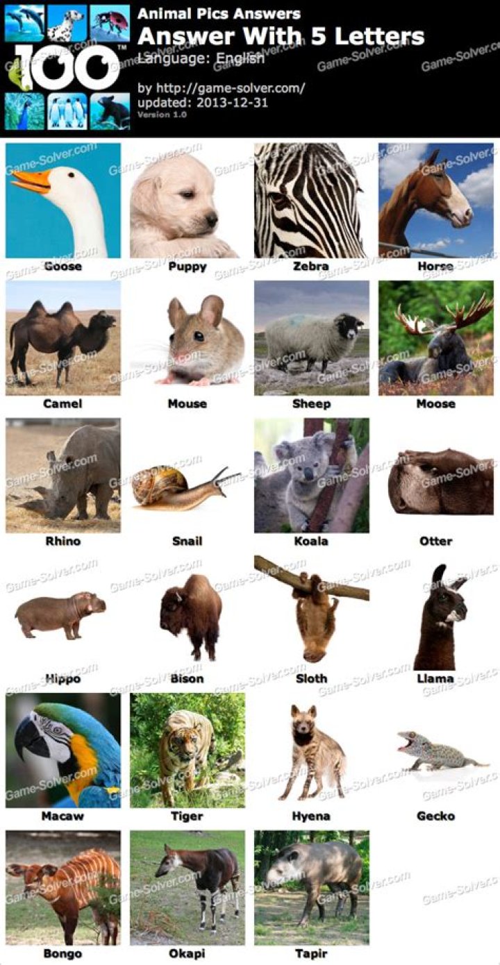 Animal Pics 5 Letters • Game Solver