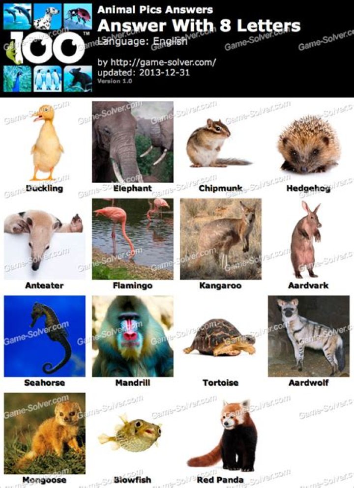 Animal Pics 8 Letters • Game Solver
