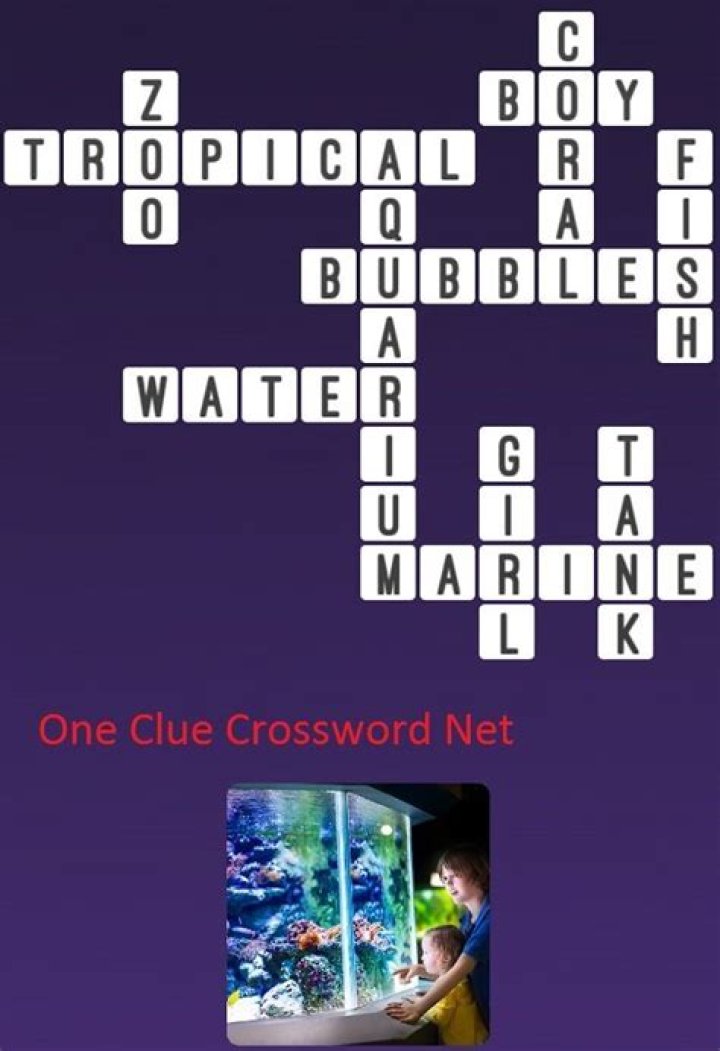 Aquarium accumulation crossword clue answer