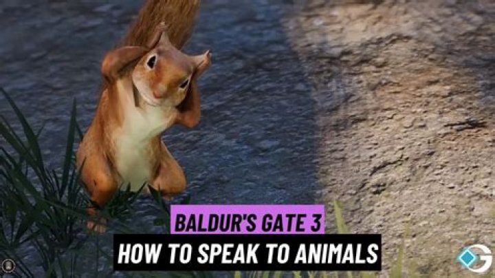 Baldur's Gate 3 (BG3): How To Speak To Animals