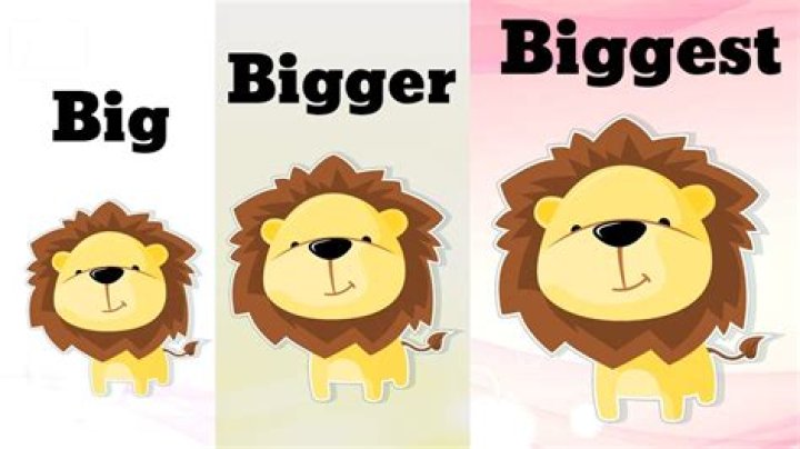 Bigger than “big”, way bigger Word Hike – Answers