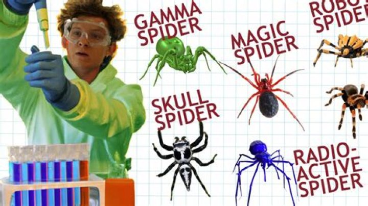 Bug that bit Peter Parker Acrostics Answer