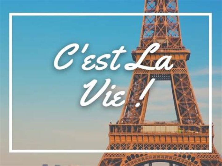 C’est la vie means “This is ____” in French Word Hike – Answers