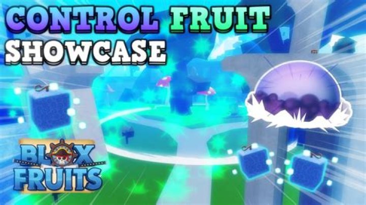 Control Value in Blox Fruits: Best Trading Value