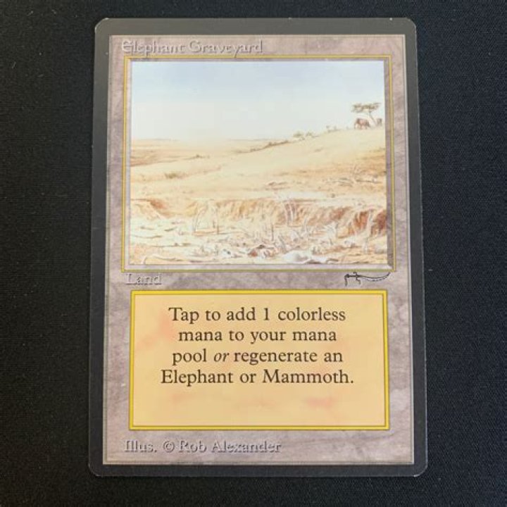 Elephant Graveyard | Arabian Nights