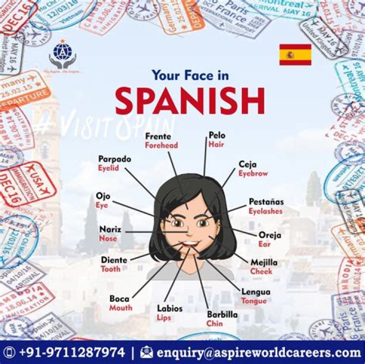 Facial Features in Spanish Quiz
