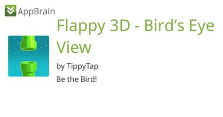 Flappy 3D - Bird's Eye View on AppGamer.com