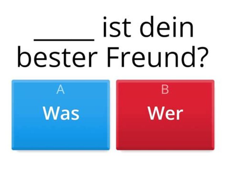 German Question Words Quiz