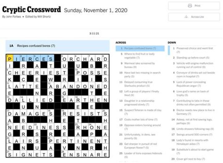 Grain bristle Crossword Clue and Answer
