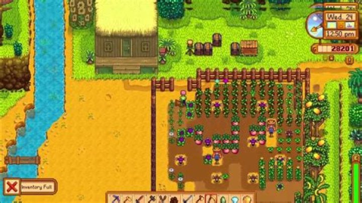 How To Farm Golden Walnuts On Ginger Island
