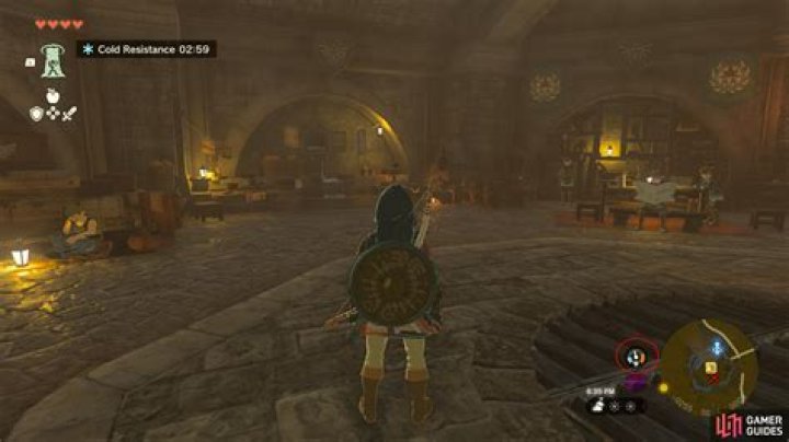 How to Increase Heat Resistance in Tears of the Kingdom - Tips & Tricks - Getting Started | The Legend of Zelda: Tears of the Kingdom