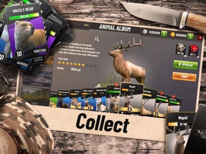 Hunting Clash: Hunter World