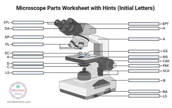 label parts of a microscope Quiz