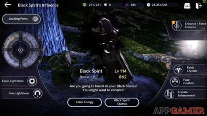 Leveling up Your Black Spirit