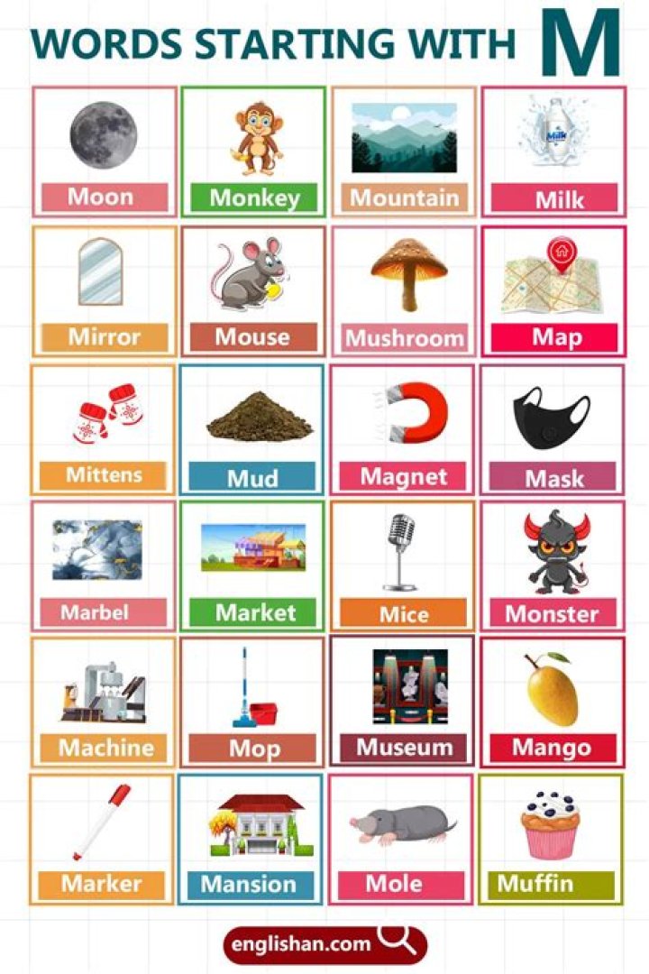 List of Words Starting With 'imm'