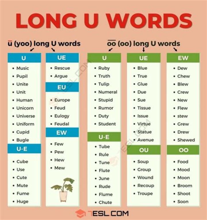 longu: Information about the word 'longu'