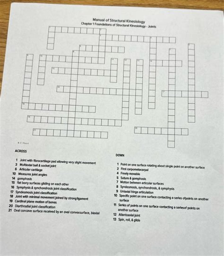Mambo joints? crossword clue answer