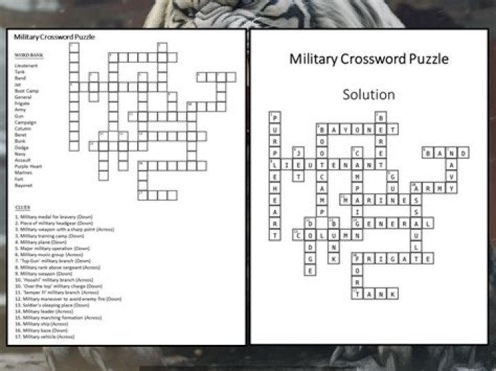 Military novelist Ackerman Crossword Clue and Answer