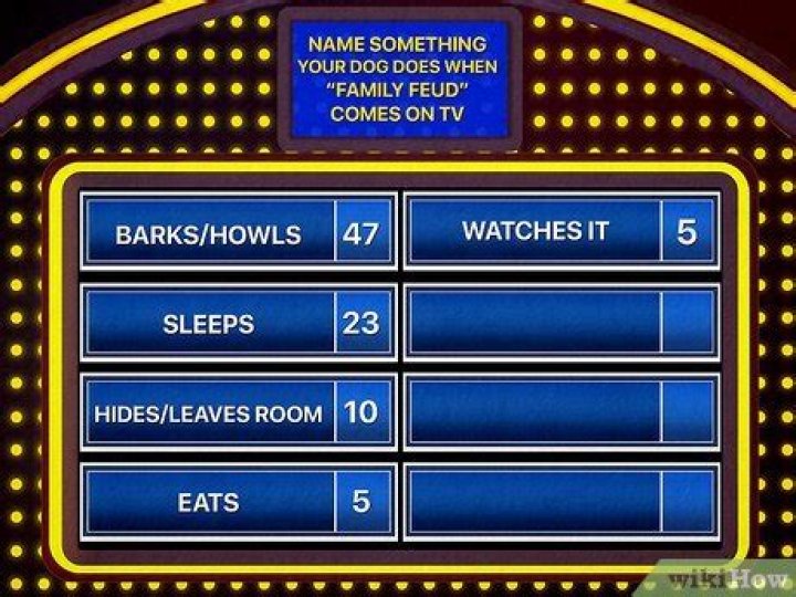 
Name something you might see at a circus [Family Feud Answers]