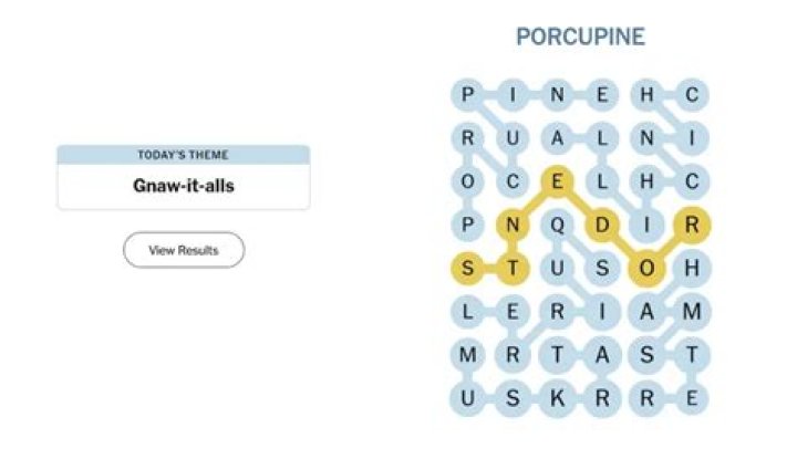 One prone to mistakes Crossword Clue