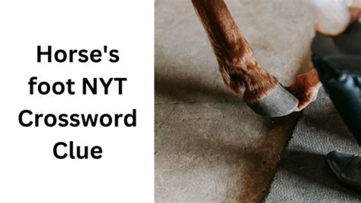 Parts of a horses bloodline Crossword Clue