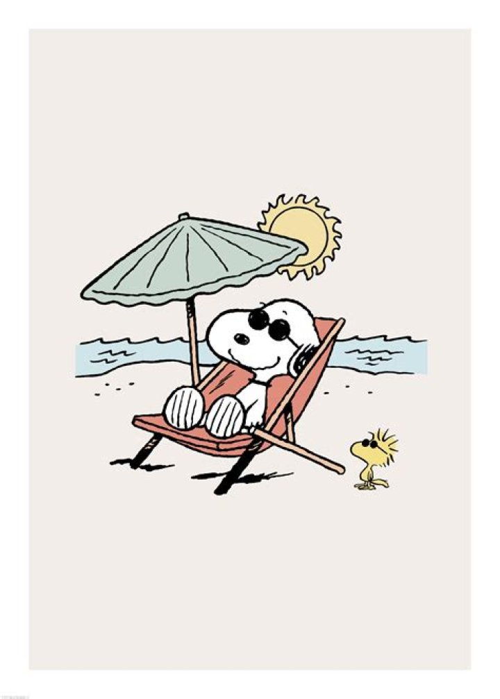 Peanuts - Snobben Quiz