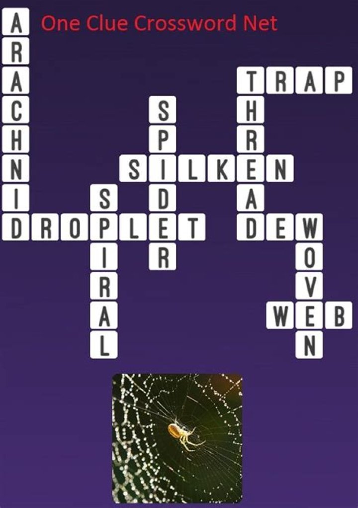Pouch spun by a spider Crossword Clue and Answer