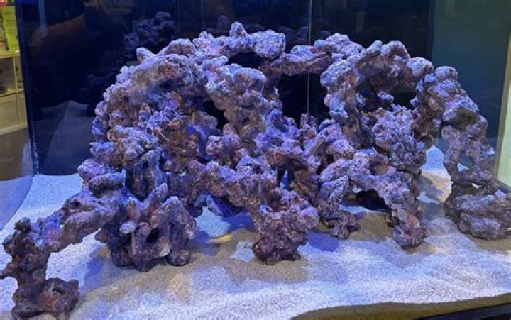 Reef builder Acrostics Answer