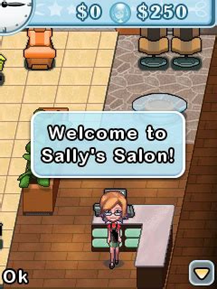 Sally's Salon (2007) - MobyGames
