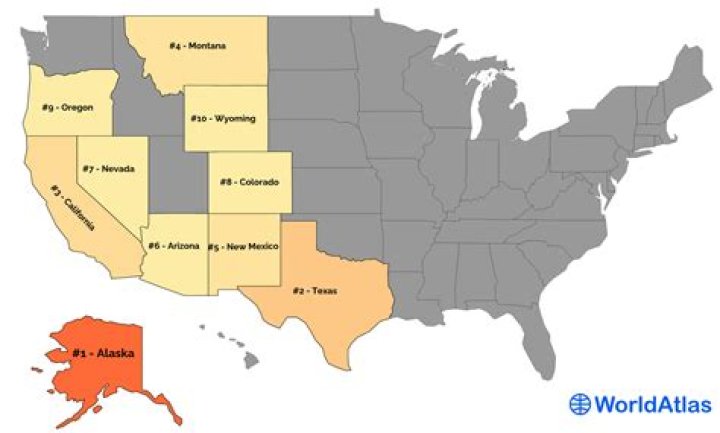 Second-largest U.S. state, for short crossword clue answer