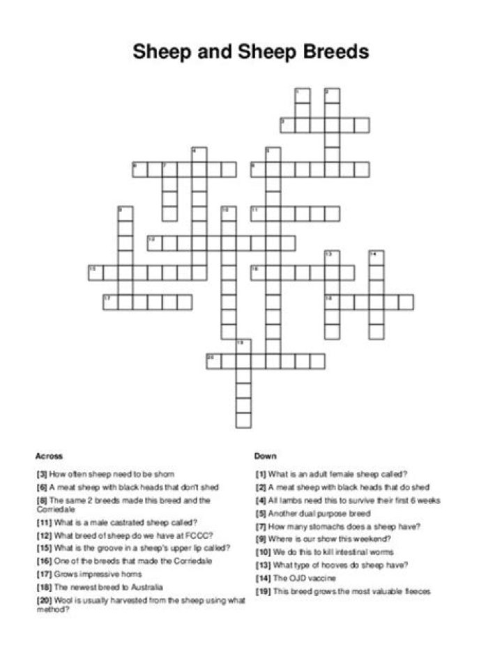 Sheep genus crossword clue answer