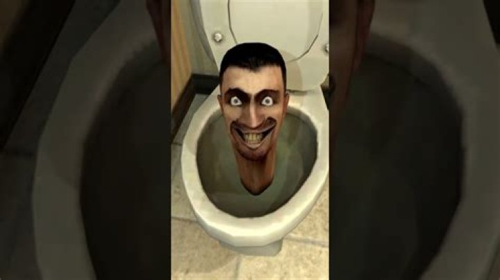 Skibidi.io