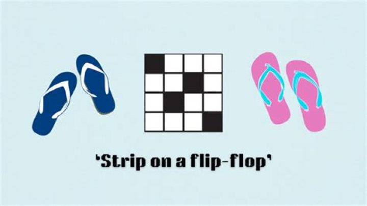Slide or flip-flop Crossword Clue and Answer