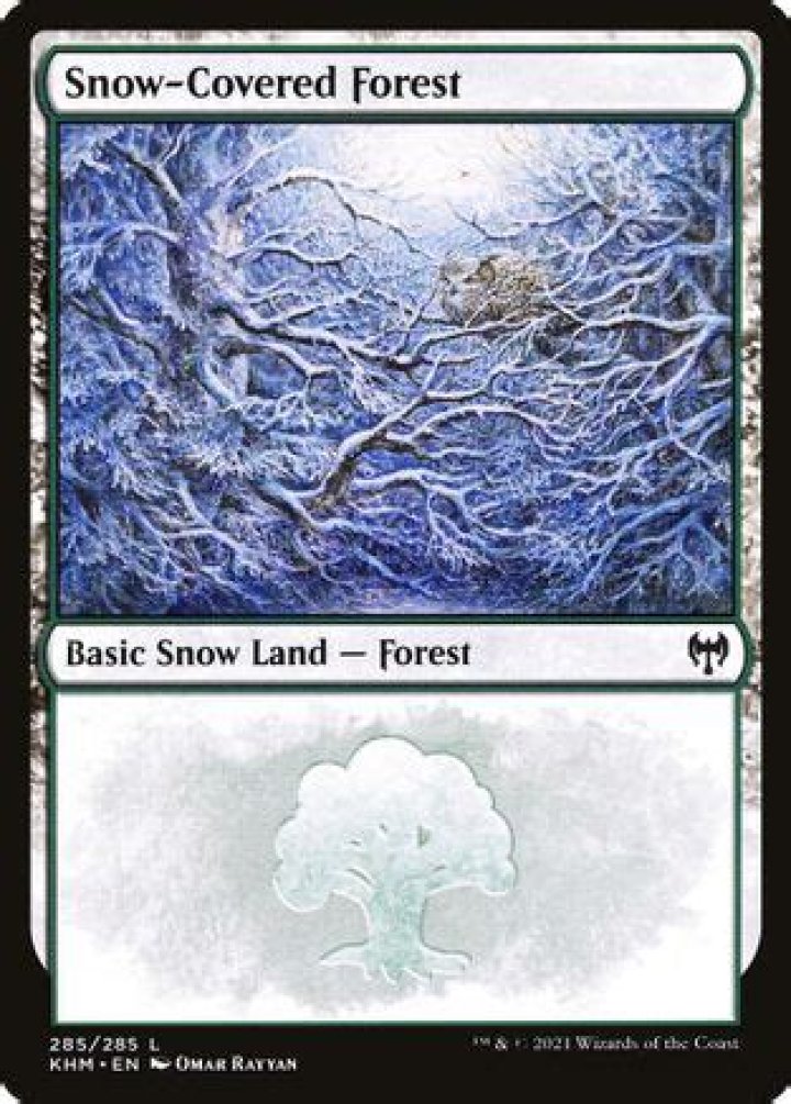 Snow-Covered Forest (#285) | Kaldheim