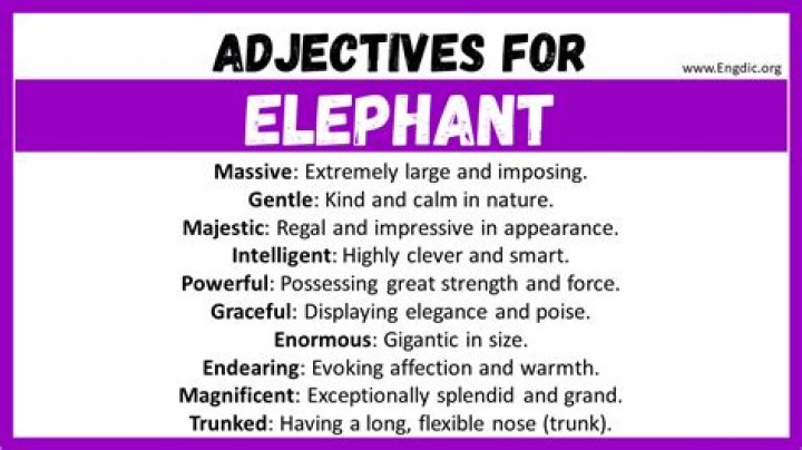 Something related to elephants Relaxing Words : Answers