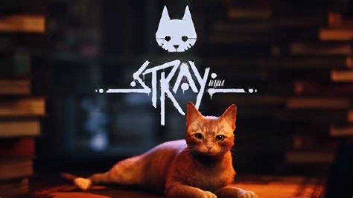 Stray: How to Get All of the Badges
