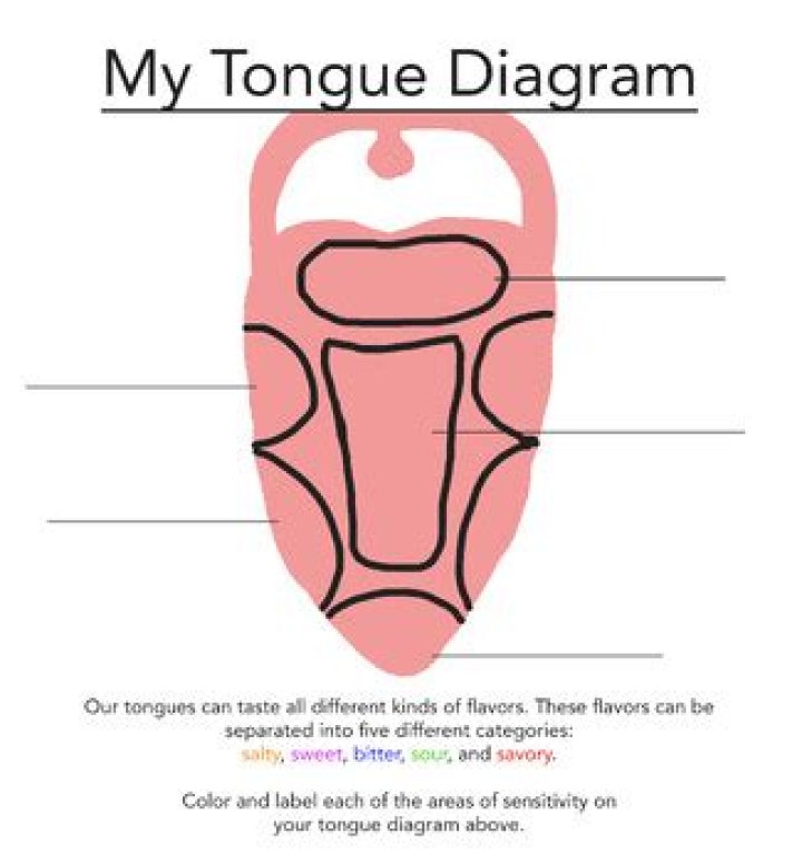 Tongue Diagram: Label — Printable Worksheet