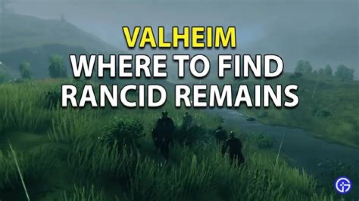 Valheim Rancid Remains: Where To Find Location