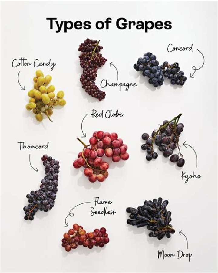 Vineyard products made with frozen grapes crossword clue answer