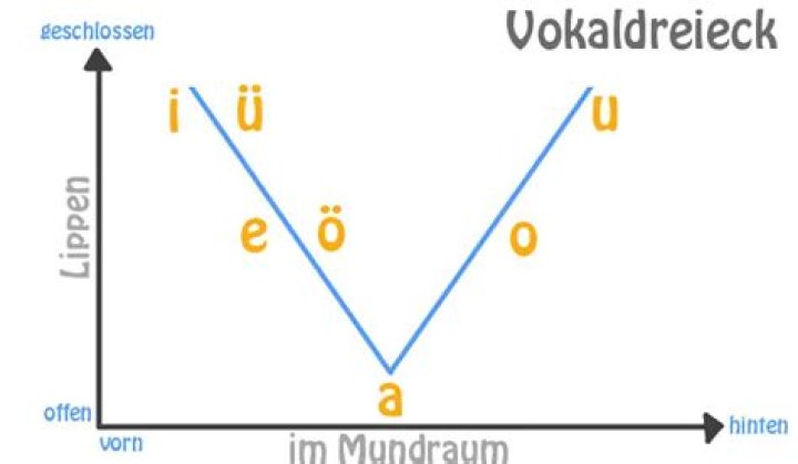 Vokale : Monophthonge — Quiz Statistics