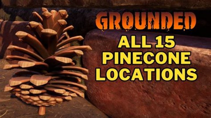 Where to Find Pinecones in Genshin Impact For Liben
