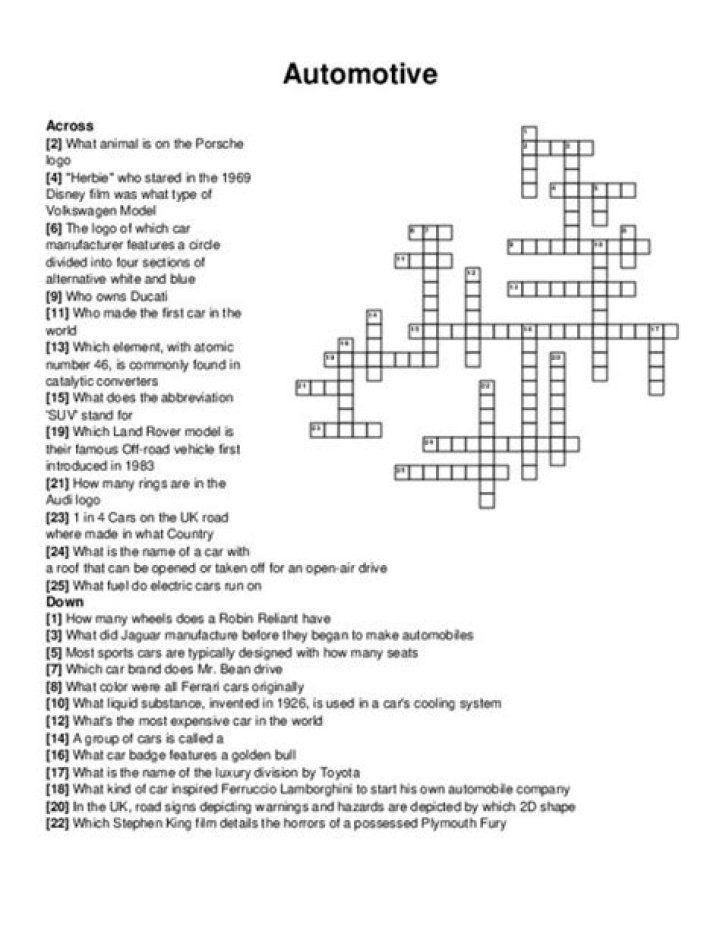 Wipe clean, as a car Crossword Clue