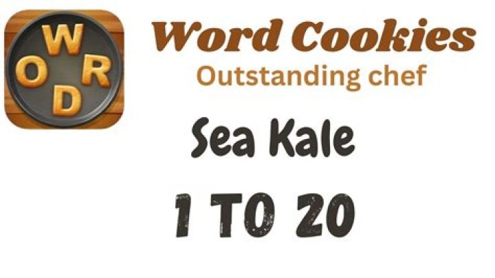 Word Cookies Outstanding Chef-Sea Kale Level 15 Answers • Game Solver