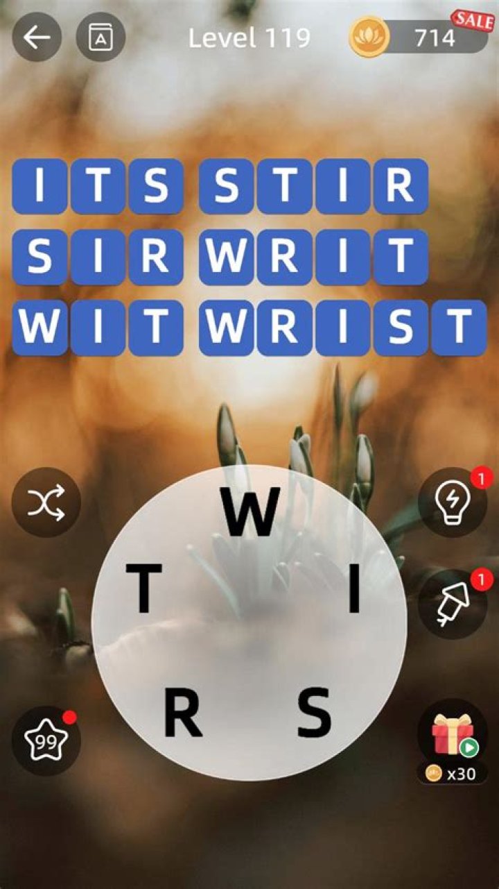 Word Heaps Pic Puzzle Level 119 Answers • Game Solver